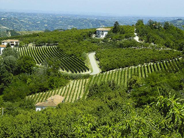 Villa Agriturismo Cascina Anri Mango Exterior foto